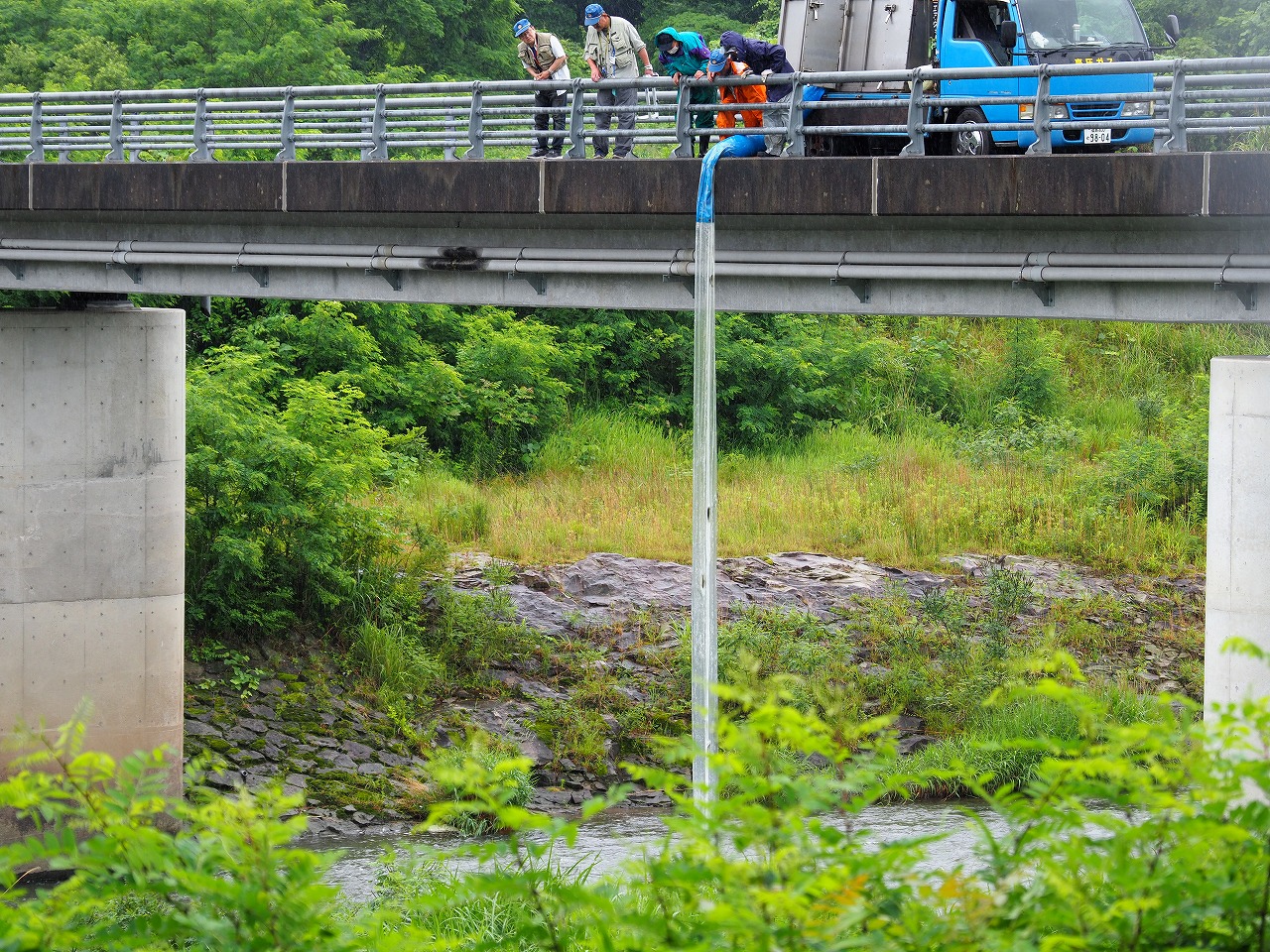 ７月からアユ釣り解禁 釈迦堂川で約１５００匹放流 阿武隈時報社