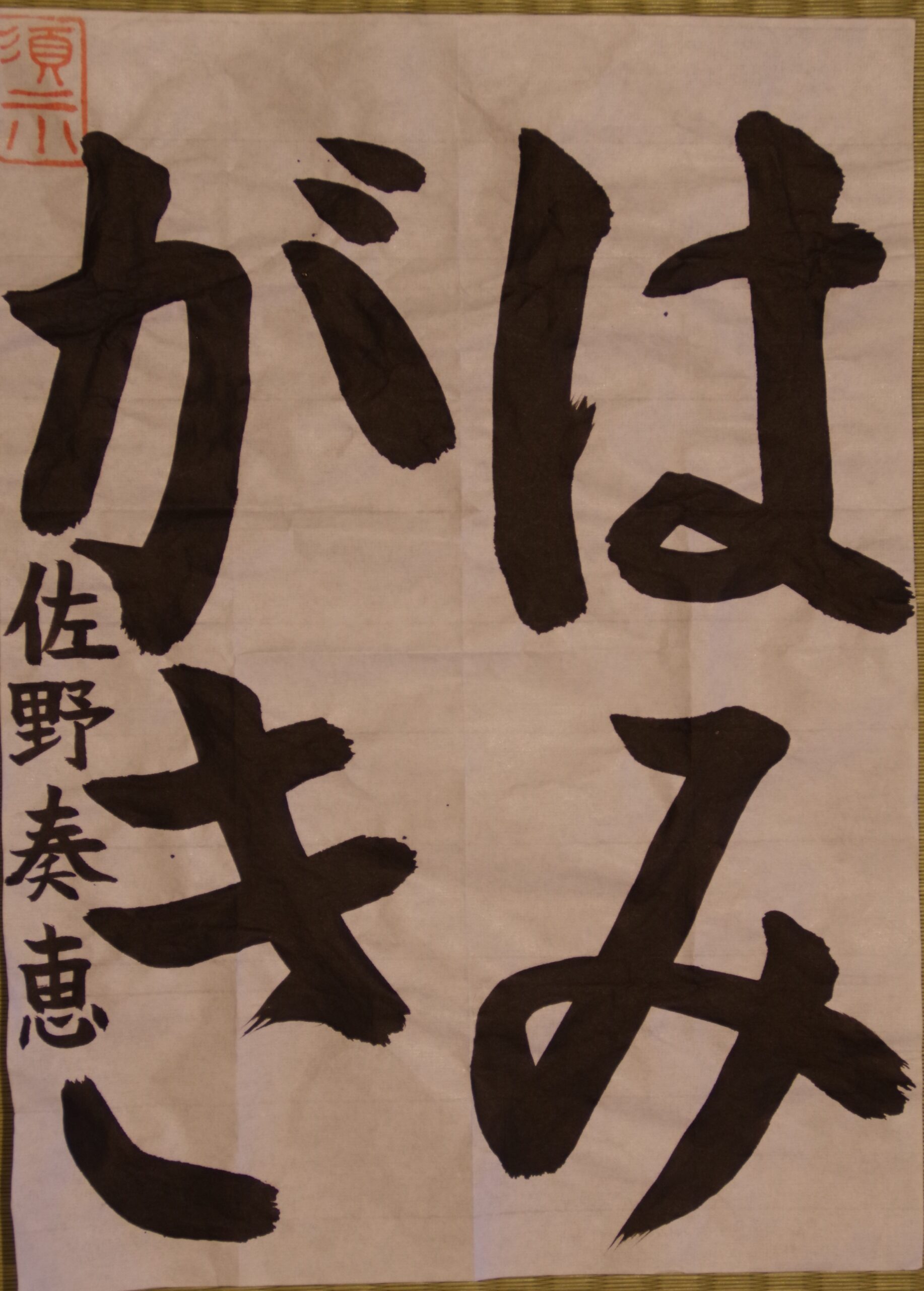 拡大画像