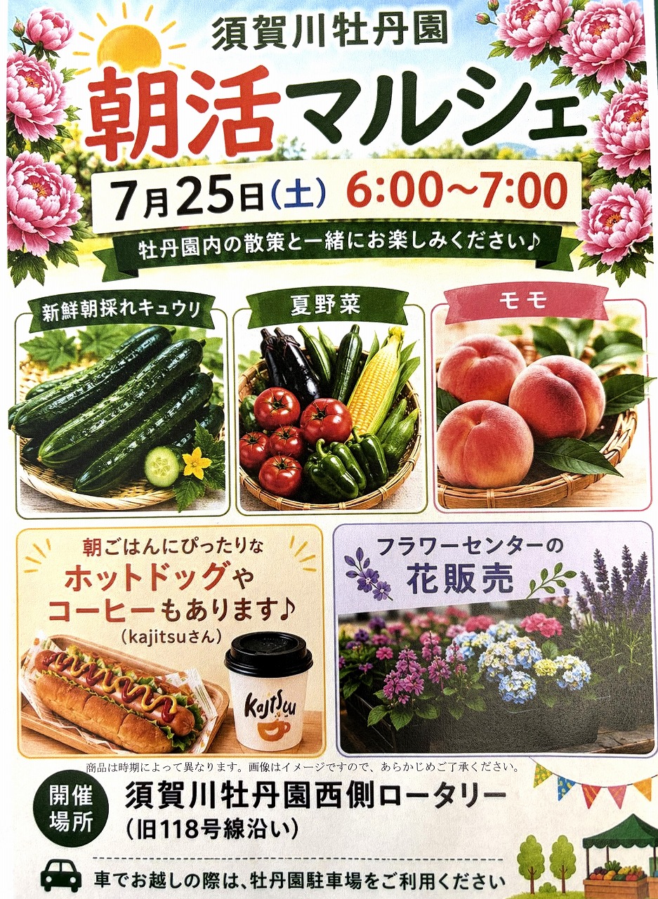 拡大画像