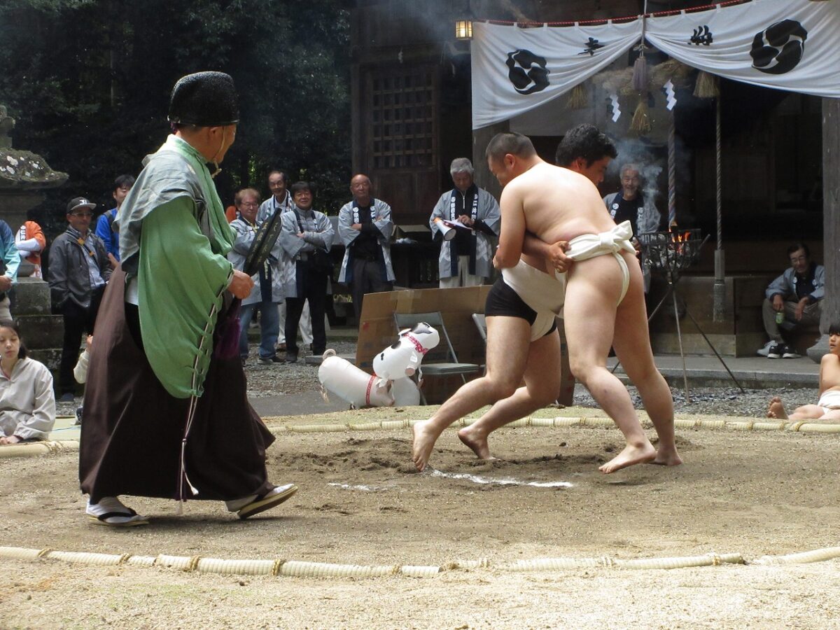 画像